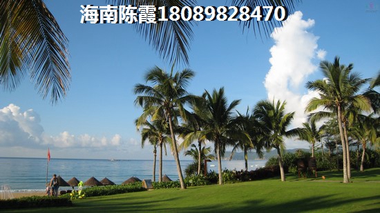 法国维希小镇优势