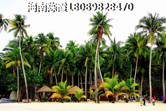 天擎棕榈水城海景房