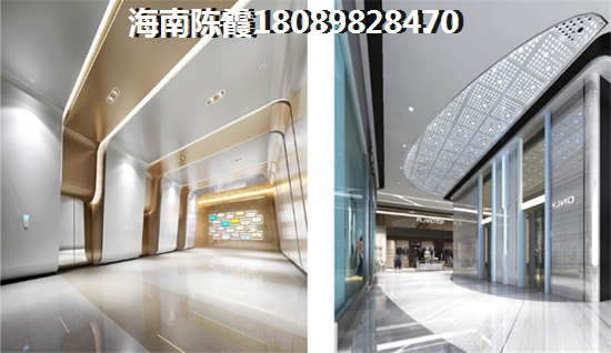 怎么样在海南·金城帝景广场买到性价比高的新房？