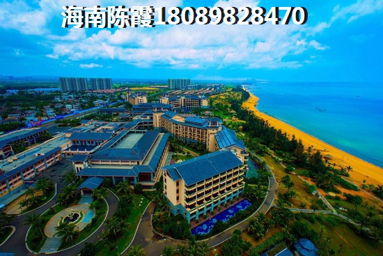 国安海岸VS海云轩分析对比