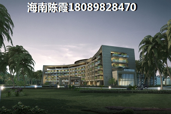 银海天诚VS椰海润景分析对比