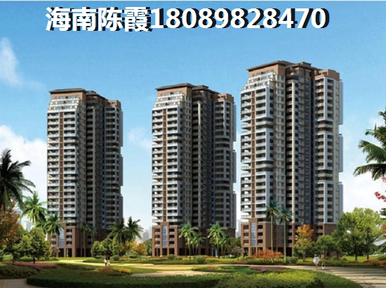 金手指·环城1号