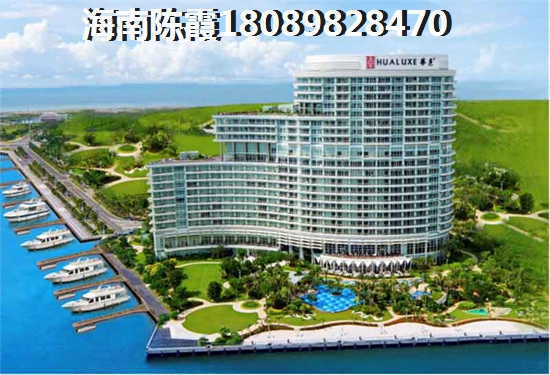 盈滨海岸VS海岸金城分析对比