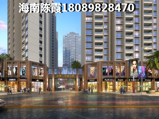 海南·金城帝景广场VS金木棉山庄分析对比