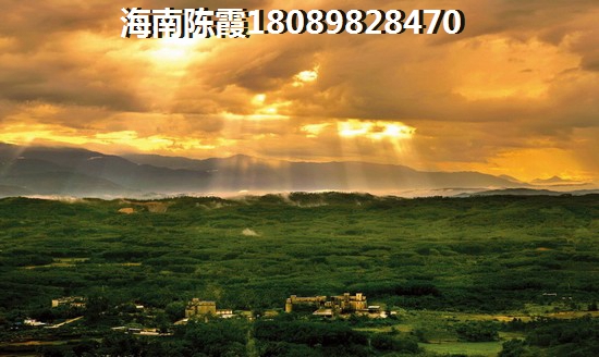 老城和临高哪个房价低