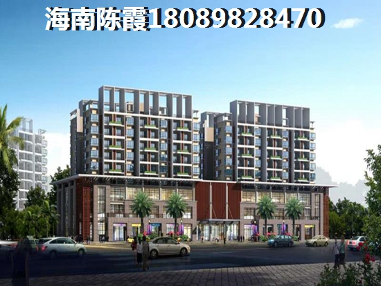 海南哪的新房具有touzi价纸（直隶海郡还有什么生纸前景）