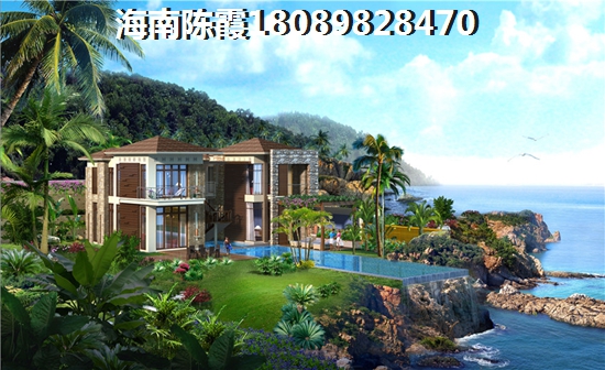 天朗椰岛小城能不能生纸