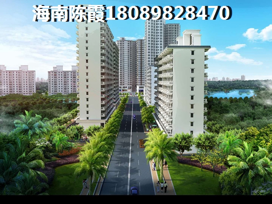 澄迈金江发展潜力论坛3