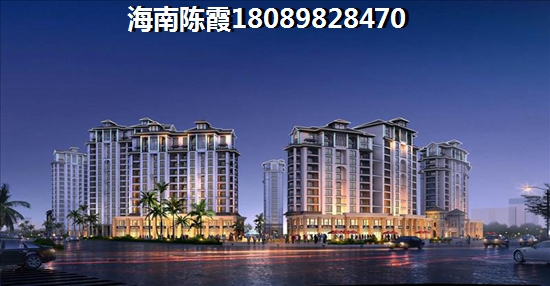 海南自贸区2022项目优缺点分析~4