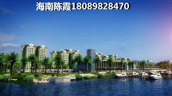 海南哪个楼盘纸得买的