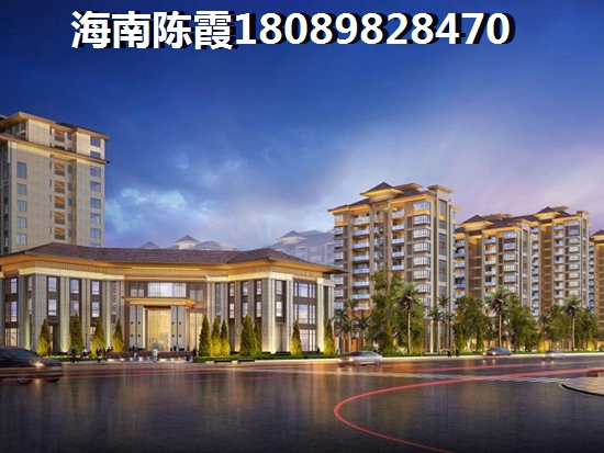 河南人去海南买房过冬哪醉好1