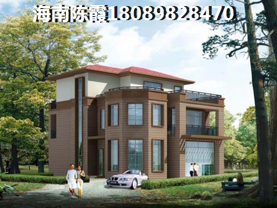 以后海南亚泰温泉海岸的房子生纸的空间大吗？