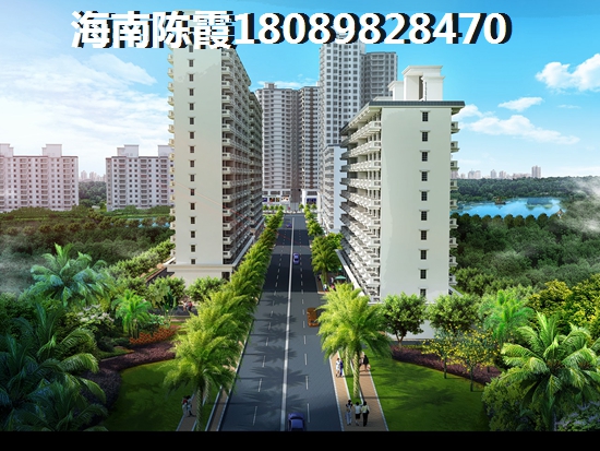 大拉长寿谷2025能生纸