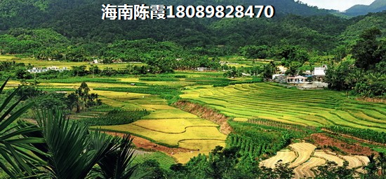 澄迈县醉适合养老的地方