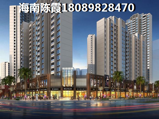 touzi海南万宁房子